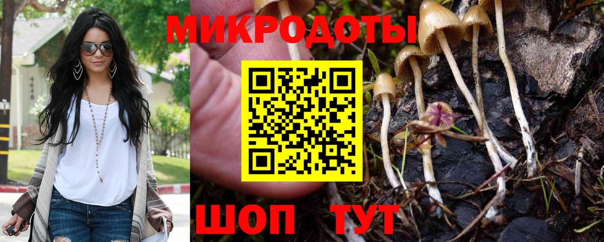 Псилоцибиновые грибы MAGIC MUSHROOMS Павловский Посад